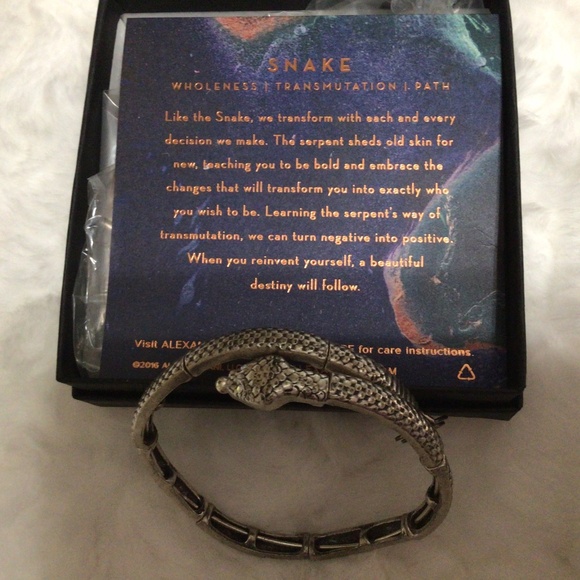 Alex and Ani - Picture 1 of 1